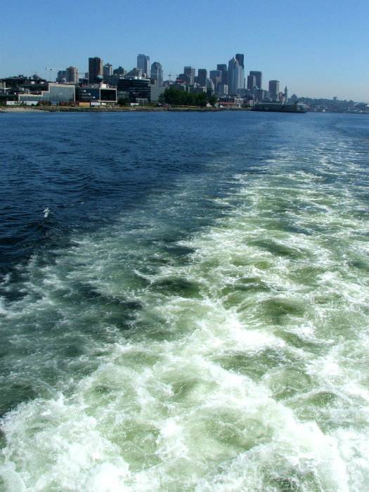 Harbor Cruise