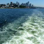 Harbor Cruise