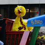 Big Bird