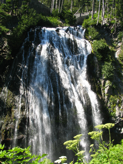 Mount Rainier
