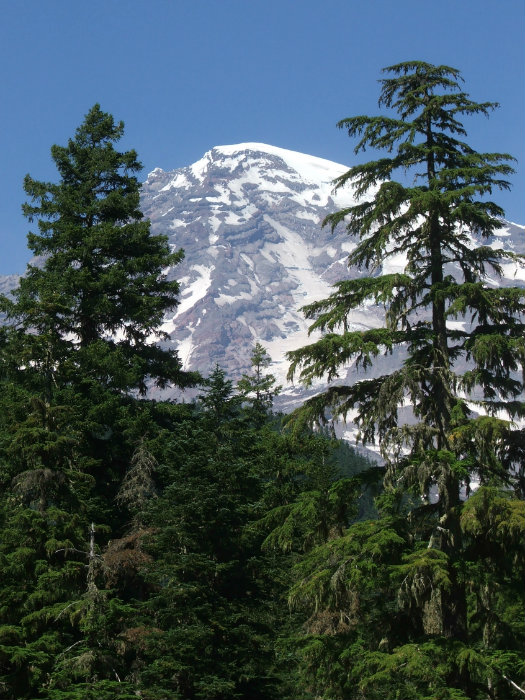 Mount Rainier