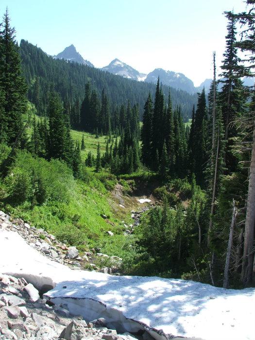 Mount Rainier