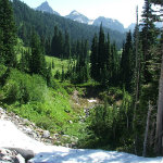 Mount Rainier