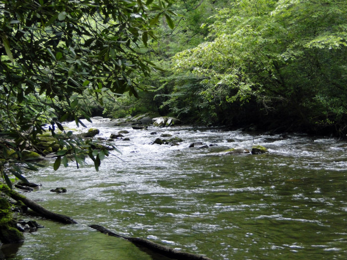 Great Smoky Mountains