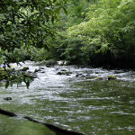 Great Smoky Mountains
