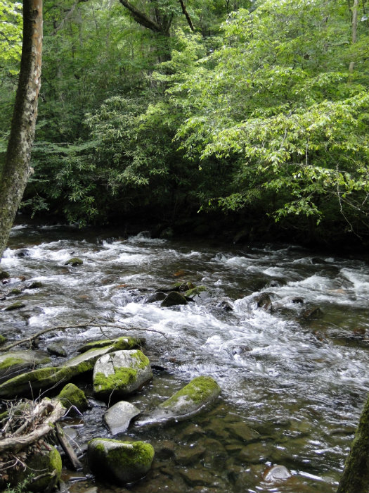 Great Smoky Mountains