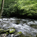 Great Smoky Mountains