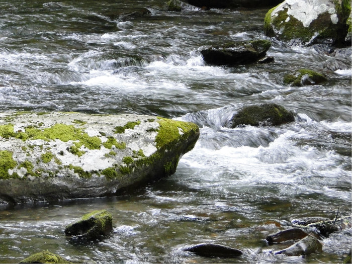 Great Smoky Mountains