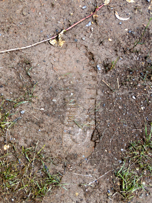 My Footprint