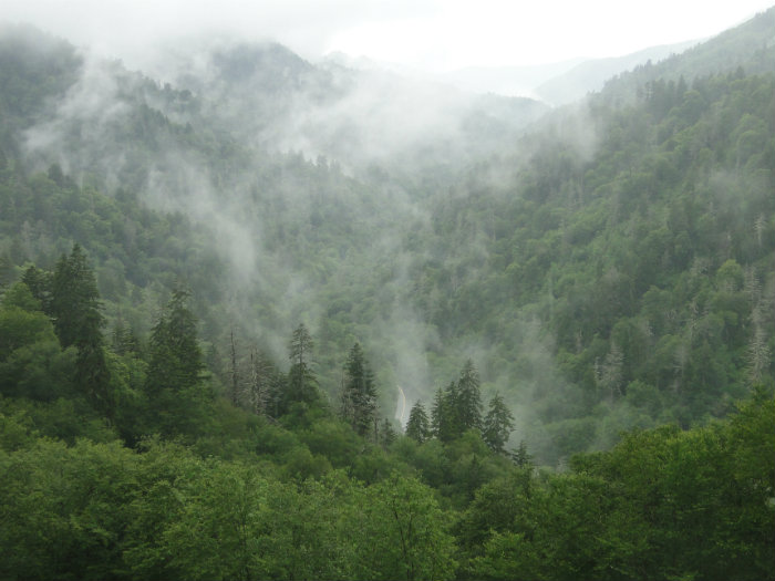 Great Smoky Mountains
