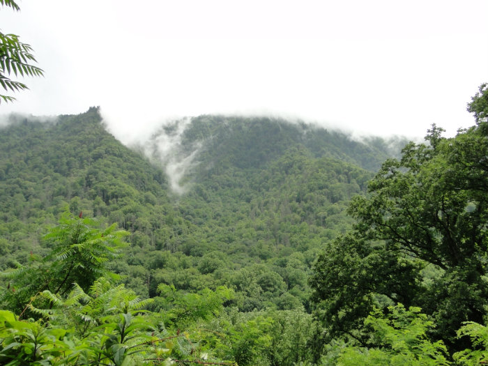 Great Smoky Mountains