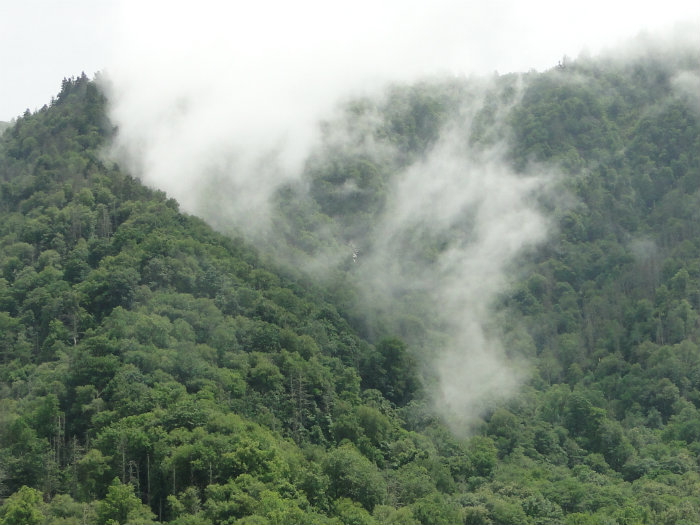 Great Smoky Mountains