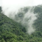 Great Smoky Mountains