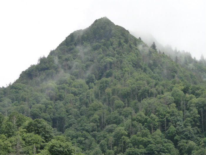 Great Smoky Mountains