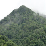 Great Smoky Mountains