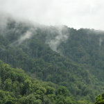 Great Smoky Mountains