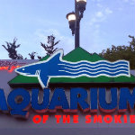Aquarium of the Smokies