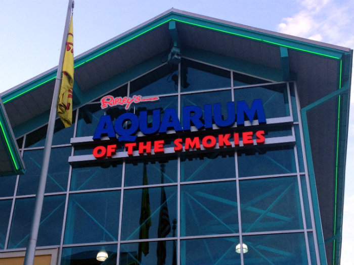 Aquarium of the Smokies