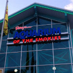 Aquarium of the Smokies
