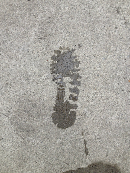 My Footprint