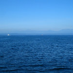 Seattle Aquarium