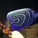 Seattle Aquarium
