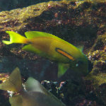 Seattle Aquarium