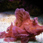 Seattle Aquarium