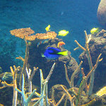 Seattle Aquarium