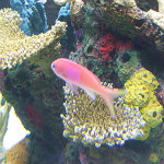 Seattle Aquarium