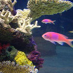 Seattle Aquarium