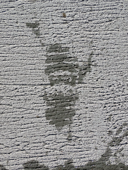 My Footprint