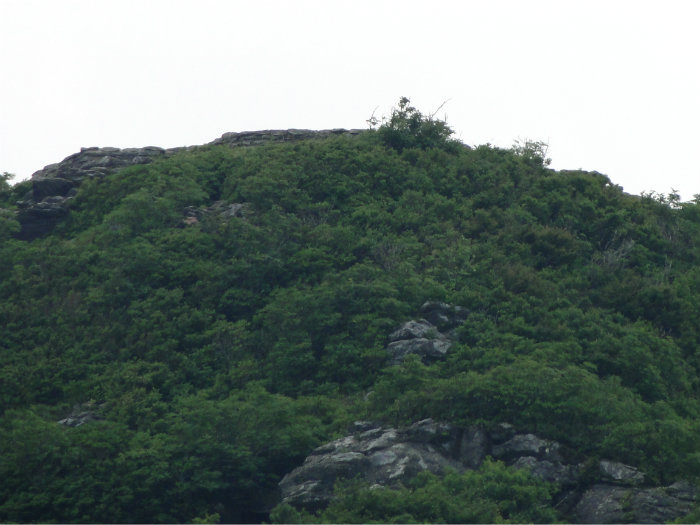 Blue Ridge Parkway