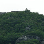 Blue Ridge Parkway