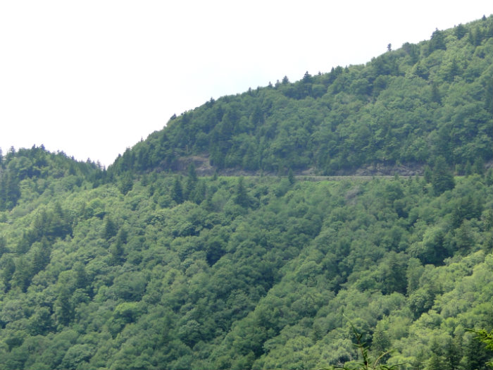 Blue Ridge Parkway