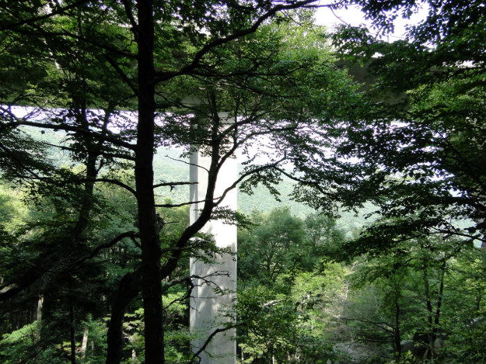 Linn Cove Viaduct