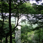 Linn Cove Viaduct