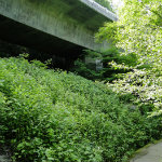 Linn Cove Viaduct