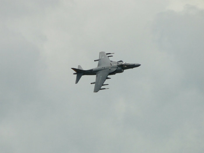 Harrier
