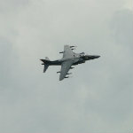 Harrier