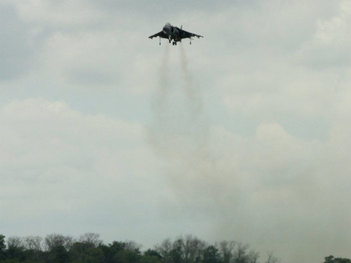Harrier