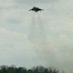 Harrier