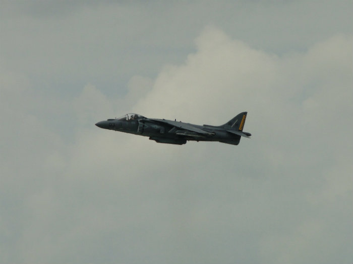 Harrier