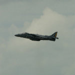 Harrier