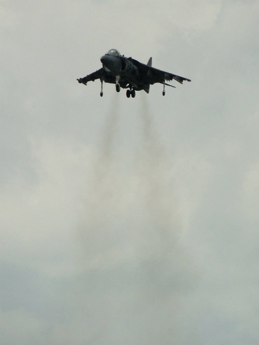 Harrier
