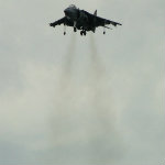 Harrier