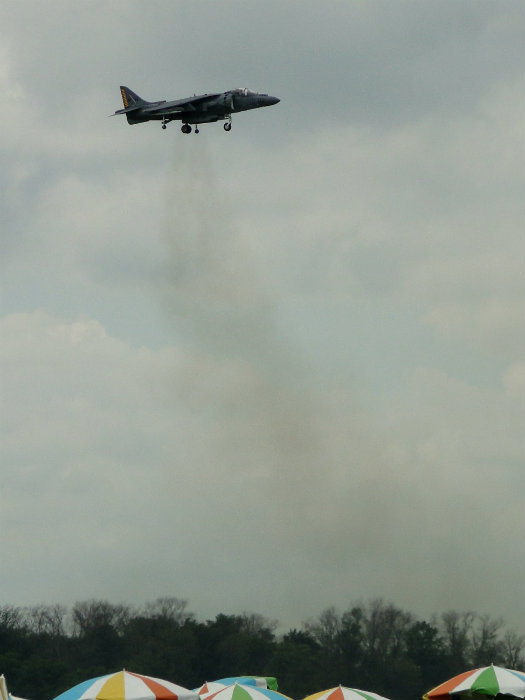 Harrier