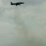 Harrier