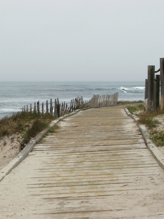 Seventeen Mile Drive