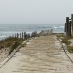 Seventeen Mile Drive